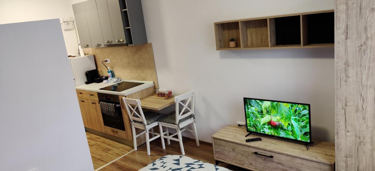 Marius Studio Брашов Экстерьер фото